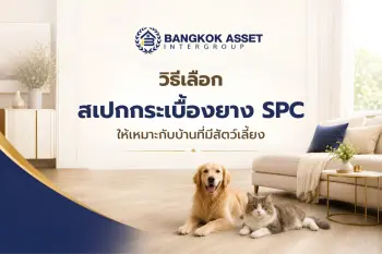 วิธีเลือกสเปกกระเบื้องยาง SPC ให้เหมาะกับบ้านที่มีสัตว์เลี้ยง